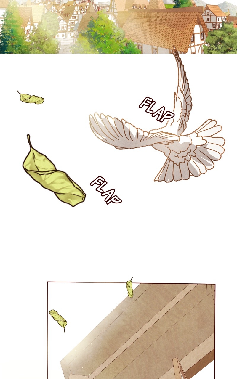 Page (45)